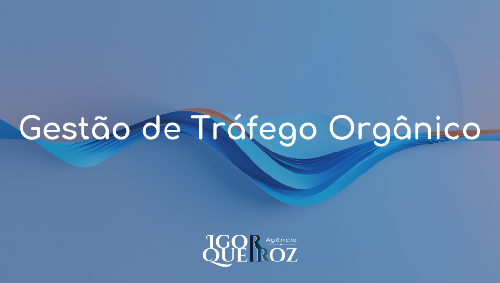Gestão de Tráfego Orgânico - Agência Igor Queiroz - Especialista em Marketing Estratégico e Performance